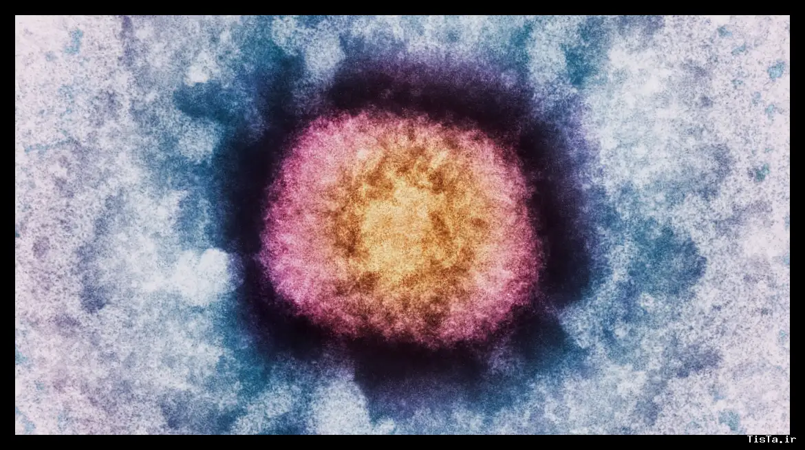 کشف DNA یک ژن مغزی انسان در ویروس: جهش شگفت‌انگیز ژنتیکی
