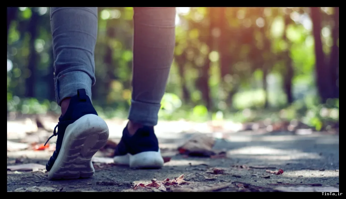 چند قدم در روز برای تقویت تمرکز کافی است؟ نتایج یک مطالعه ۱۴ ساله